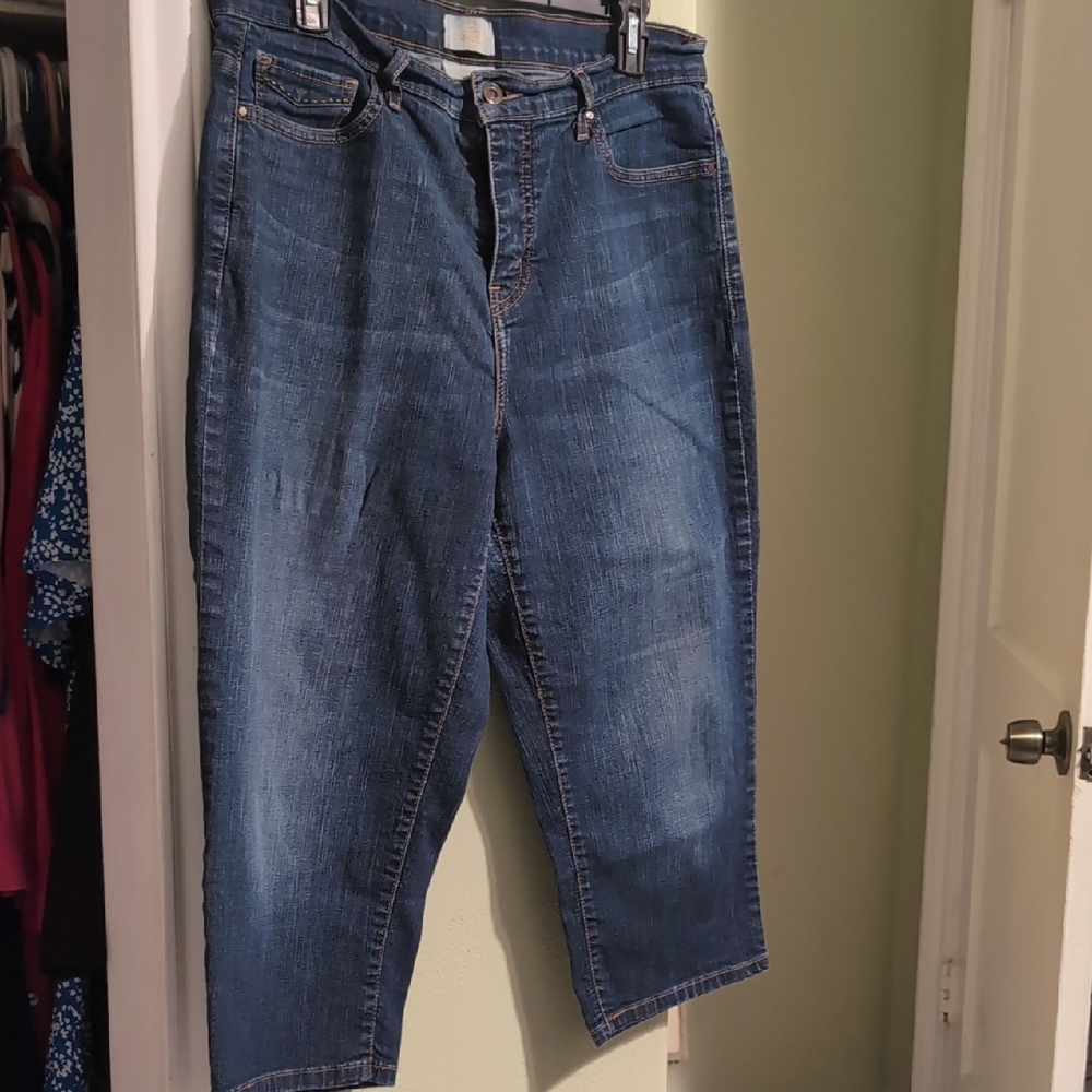 Classic Blue Ankle Jeans for Women